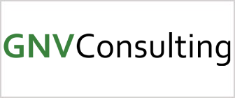 21GNVConsultingServicesIndonesia.png